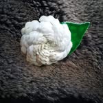 Pilar Blanco - @pilar_blanco_rey - Instagram