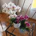 Pilar Bosch - Facebook