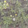 Pilar Bosch - @pilar.bosch0 - TikTok