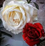 Pilar Briggs - Facebook
