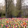 Pilar Cano - @pilar.cano93 - TikTok