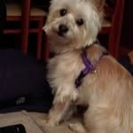 Pilar Carrillo - @pilar.carrillo.714 - Instagram