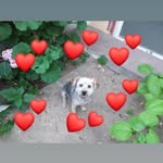 Pilar Cisneros - @cisnerosgonzalezpilar - Instagram