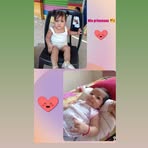 Greyshell Pilar - Facebook