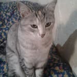 Pilar Pedraza - @pilar.pedraza.3344 - Instagram