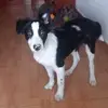 Pilar Pedraza - @pilar.pedraza51 - TikTok
