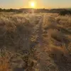 Pilar - @pilar.rivas87 - TikTok