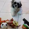 Pilar Rivas - @pilarivas - TikTok