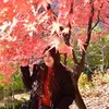 PinPin.Lim - @pin.lim - TikTok