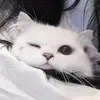 PING CHI LING 💥 - @_1_2_3_4231 - TikTok