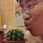 Pingchi Lee - @pingchil - Instagram
