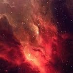 ping du - @ping7613 - Instagram