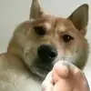 Li Pinghui - @li.pinghui - TikTok