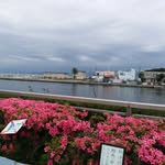 Ping Lai - @ping5534 - Instagram
