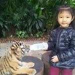 Ping Lai - @pinglai7878 - Instagram