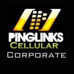 Pinglinks Corporate Sales Team - @pinglinks.corporate.b2b - Instagram