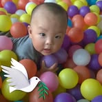 Ping Lo - Facebook