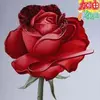 Ping Ma - @ping.ma3 - TikTok