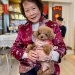 Shui Ping Szeto - Facebook