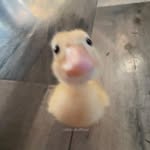 piຖk༄ʍαrtiຖi - @_.pink.martini - Instagram