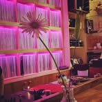 Pink Martini - Facebook