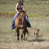 Piper Brown - @piper.brown22 - TikTok