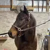 Piper Doyle - @piperisthebest1236 - TikTok