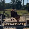 Piper Doyle - @piper.doyle - TikTok