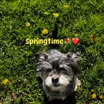 Piper Duff - Facebook