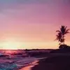 Piper Gregory613 - @user8084042319716 - TikTok