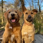 Piper and Rory Judd-Jones - @thelifeofpiperandrory - Instagram