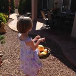 Piper - @piper.meadow - Instagram