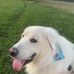 Piper Moore - Facebook