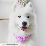 Piper_moore_ - @piper_moore_01 - Instagram