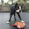 Piper 💕 - @piper.poe - TikTok