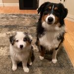 Poe & Piper - @poe_and_piper - Instagram