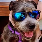 Piper - @piper_strong4 - Instagram