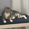Piper - @piperwhite - TikTok