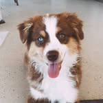 Piper White - @party_with_piper - Instagram