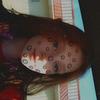 piper._.williams420 - @piper._.williams420 - TikTok