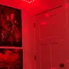Piper Wise - @piper.wise1 - TikTok