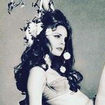 starving artist - @piperwolferman - Instagram