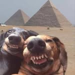 Pippa Anderson - @pippa_anderson_ - Instagram