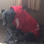 Pippa Bailey - Facebook