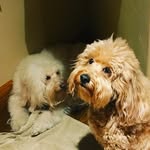 ~❤️Pippa+Bailey❤️~ - @pippa_bailey_ - Instagram