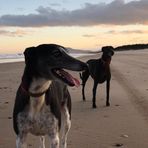 Pippa Davis - Facebook