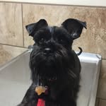 LiaHoward - @pippahoward - Instagram