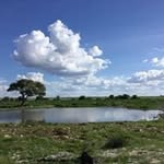 Pippa Howard - @pippa_howard - Instagram