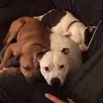 Pippa Hunt - @crazypips - Instagram