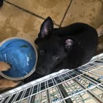Pippa - @pippahunt_ - Instagram